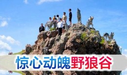 野狼谷 在线观看,在线揭秘神秘山谷的惊险探险之旅